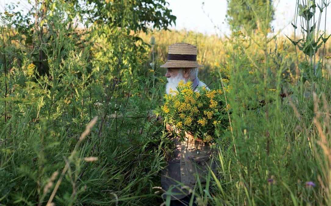 Ștefan Câlția expune la Sibiu: Temele recurente care l-au consacrat