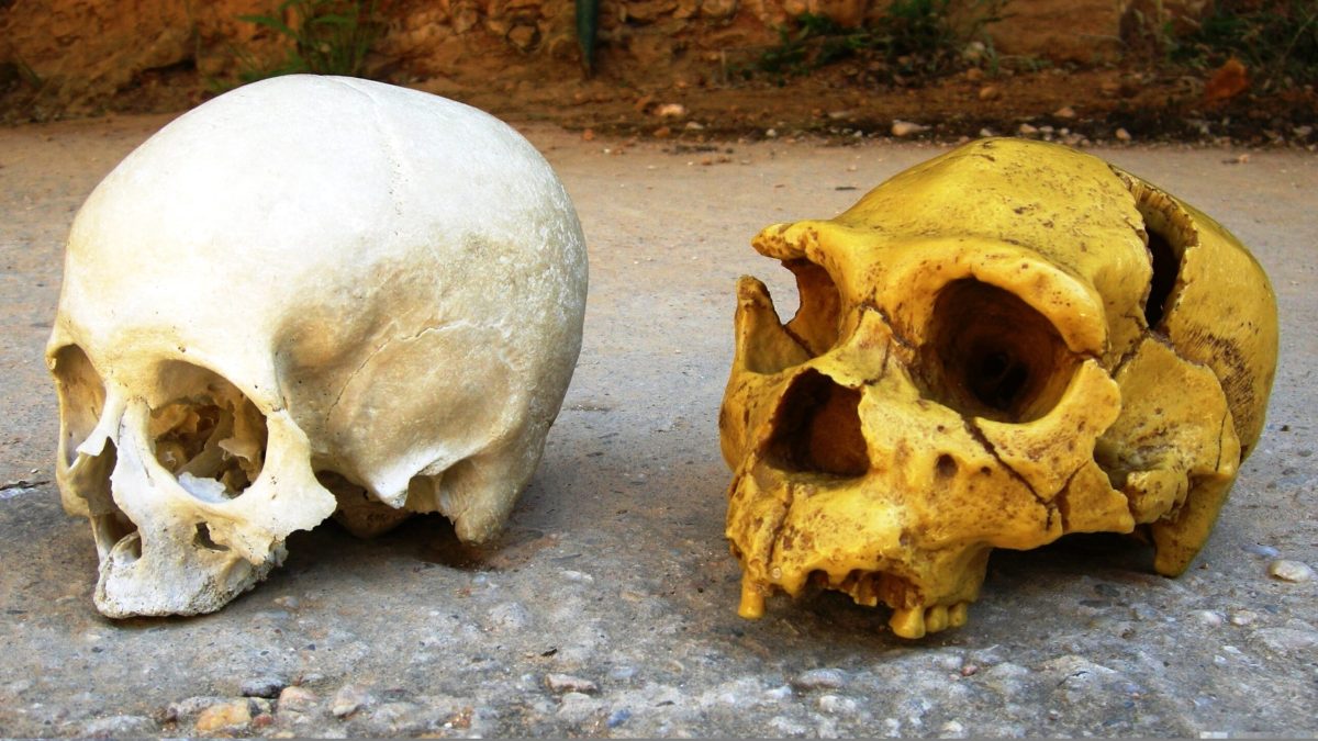 Cum ne influențează neanderthalienii, chiar și-n ziua de azi