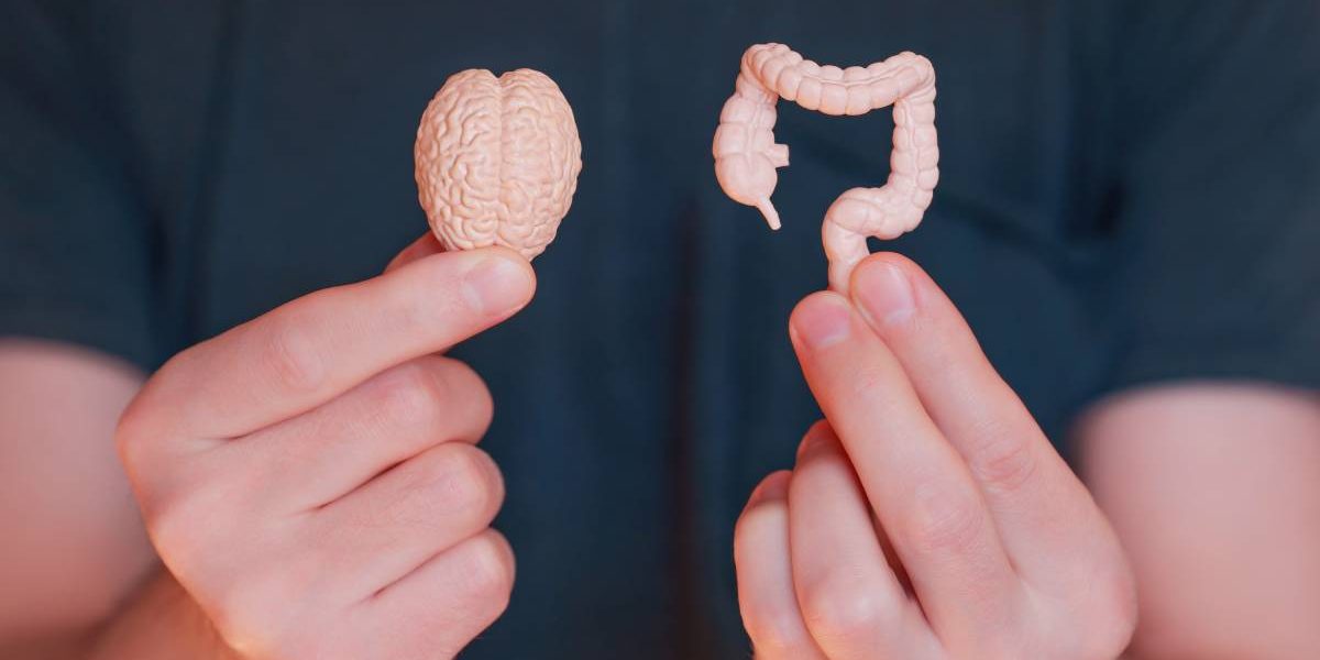 Cum afectează stresul Sărbătorilor digestia și foamea