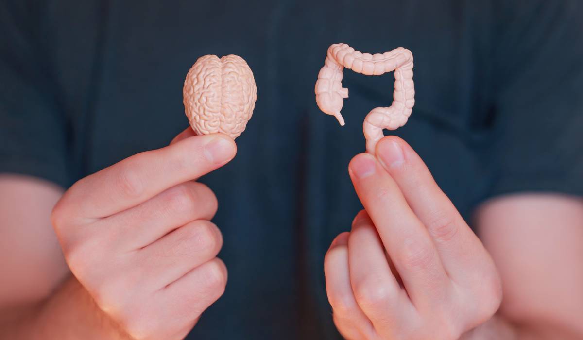 Cum afectează stresul Sărbătorilor digestia și foamea