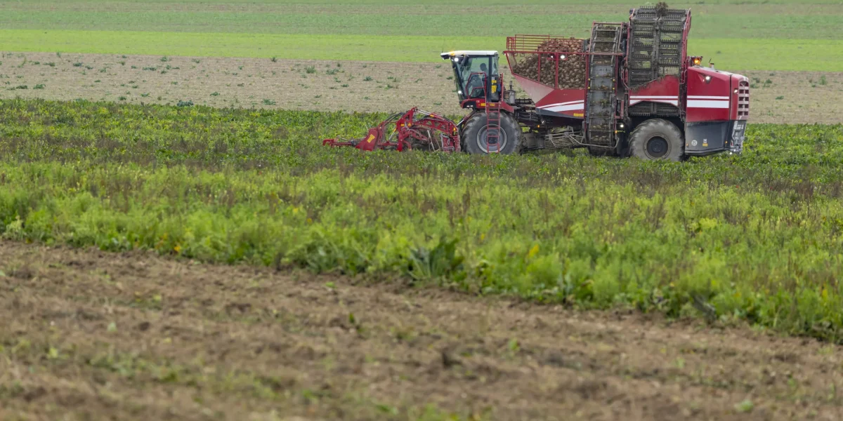 Vremea din intervalul 4–10 aprilie aduce condiții favorabile pentru activitățile agricole, conform prognozelor specialiștilor de la Administrația Națională de Meteorologie