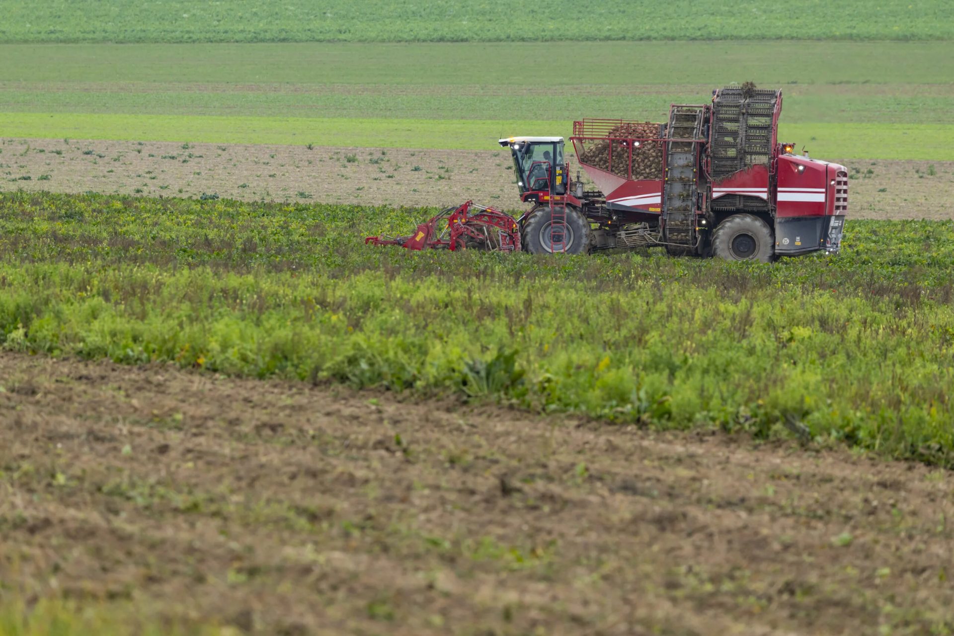 Vremea din intervalul 4–10 aprilie aduce condiții favorabile pentru activitățile agricole, conform prognozelor specialiștilor de la Administrația Națională de Meteorologie