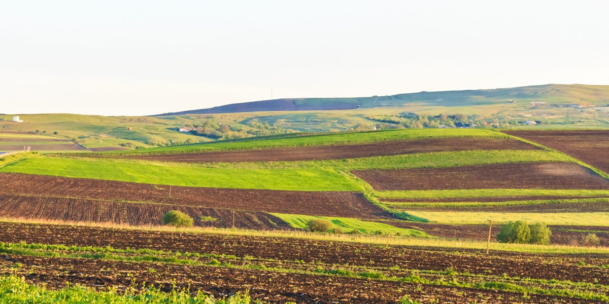 Arenda 2026: Ce drepturi și obligații au arendatorii și arendașii din România?