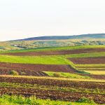 Arenda 2026: Ce drepturi și obligații au arendatorii și arendașii din România?