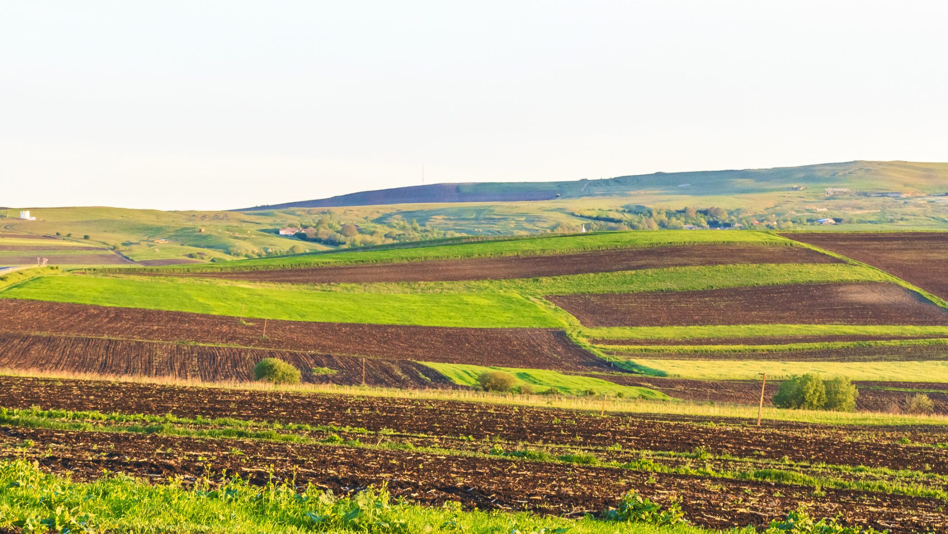 Arenda 2026: Ce drepturi și obligații au arendatorii și arendașii din România?