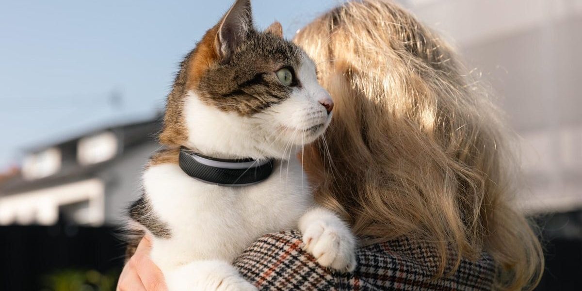 Compania Tractive lansează zgărzile inteligente pentru animalele de companie, cu funcții de ceas de fitness Tractive, o companie specializată în tehnologie pentru animalele de companie, își extinde gama de produse cu noi zgărzi inteligente