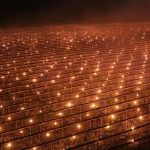 Fermierul din Cluj a ars 40.000 € ca să-și salveze cireșii de ger