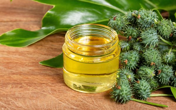 Uleiul de ricin: Minune sau mit? Ce spun studiile despre beneficii