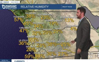 Ploi în perspectivă: vremea se schimbă radical în România