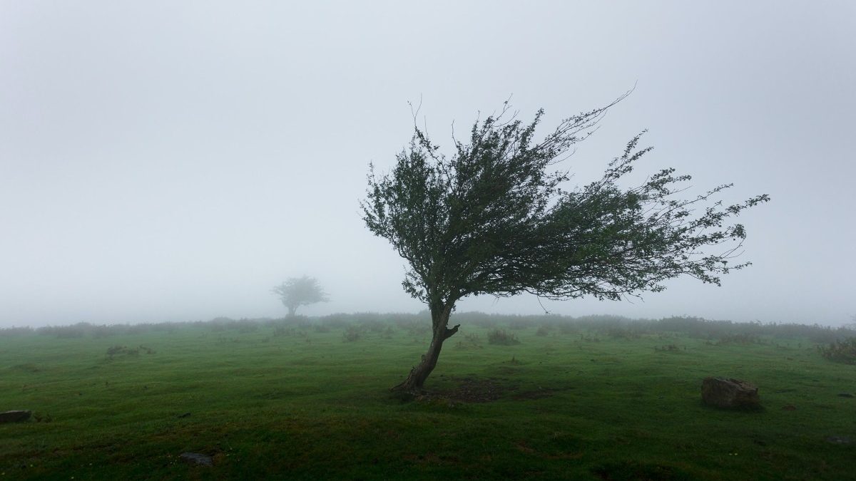 Avertisment meteo: Cod galben de vreme rea vineri și sâmbătă în România