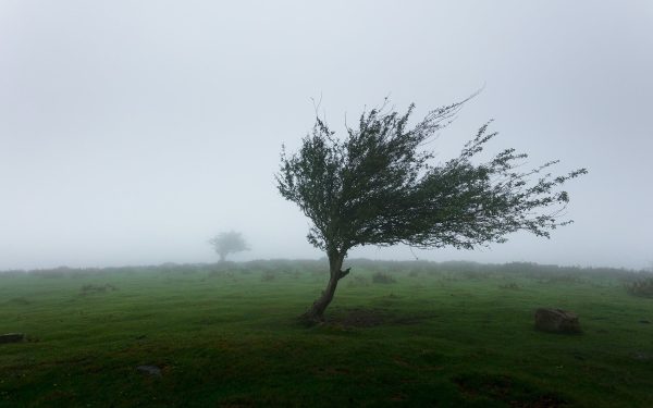 Avertisment meteo: Cod galben de vreme rea vineri și sâmbătă în România