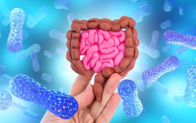 O proteină din intestinul tău luptă cu bacteriile periculoase