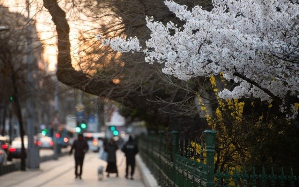 ANM: Vreme de primăvară în România! Temperaturi neobișnuit de mari