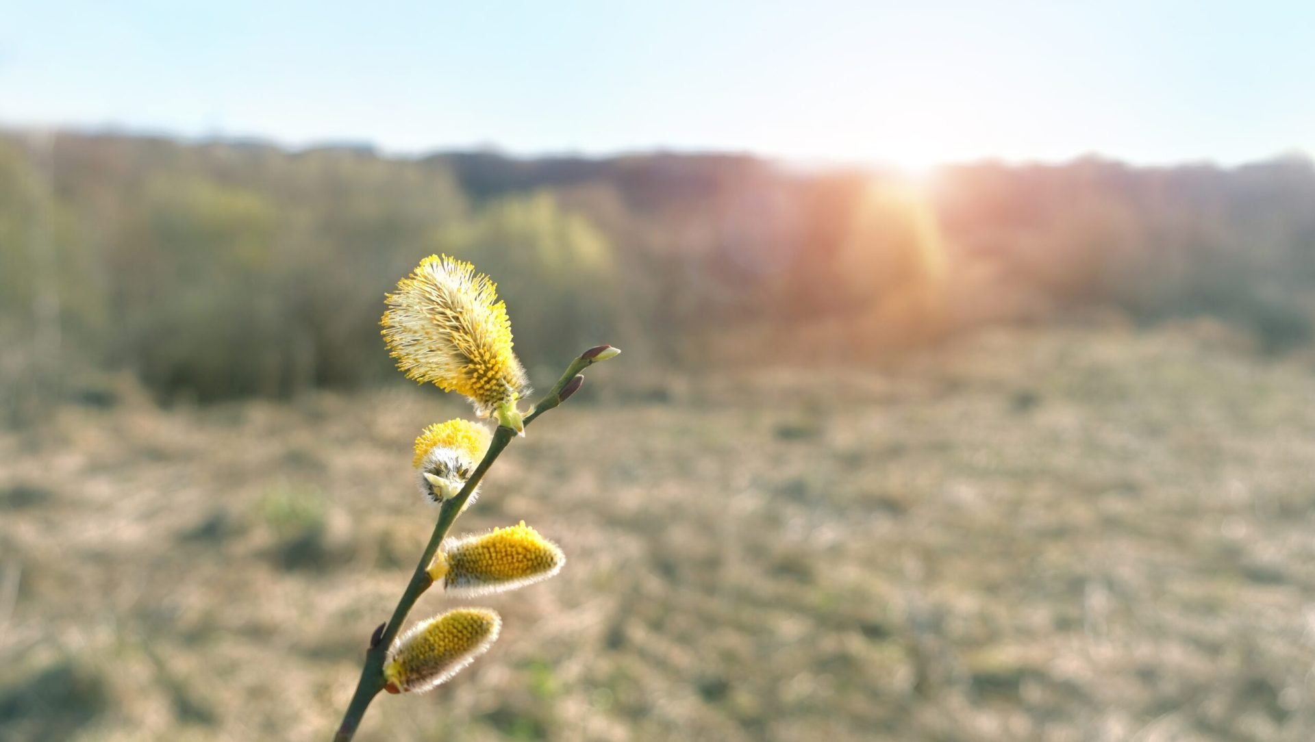 Vremea se va răci semnificativ de Paște, temperaturile minime vor coborî chiar și până la -7 grade Celsius De săptămâna aceasta, prognoza meteo indică o răcire accentuată a temperaturilor în tot teritoriul țării, cu valori minime care pot ajunge până la -7 grade Celsius
