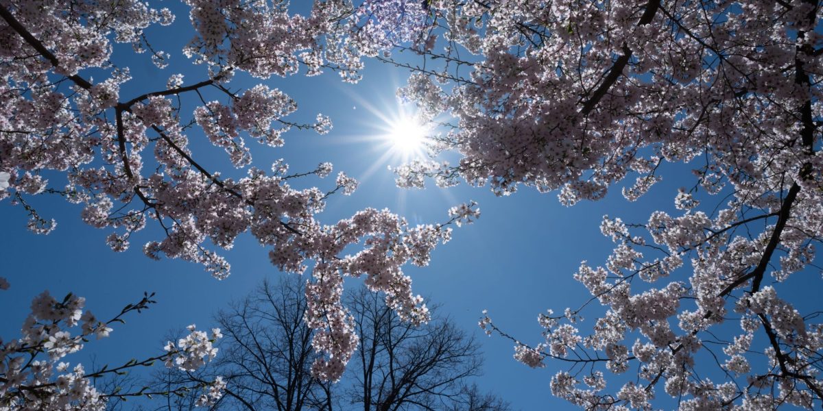 Meteo: Cum va fi vremea de 1 Mai în România
