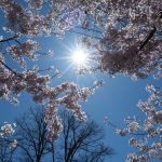 Meteo: Cum va fi vremea de 1 Mai în România