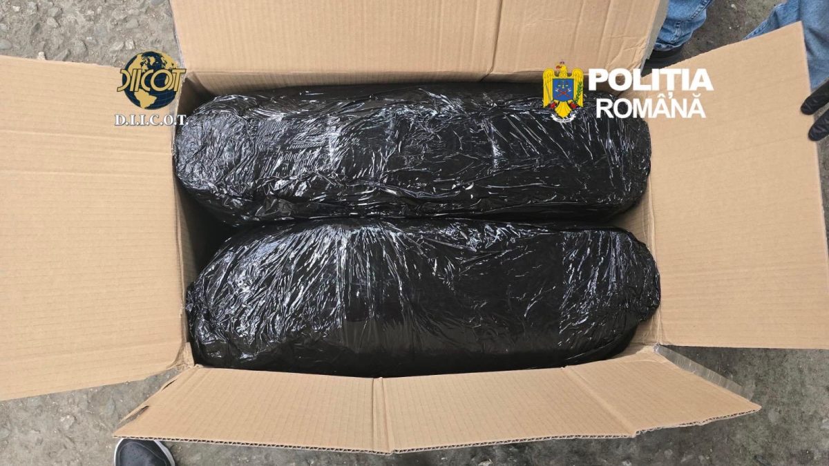 Captură-record la Târgu Mureș: 13 kg de canabis, aduse din Spania