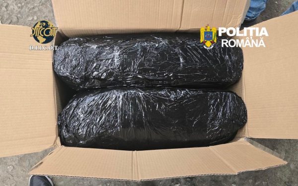 Captură-record la Târgu Mureș: 13 kg de canabis, aduse din Spania