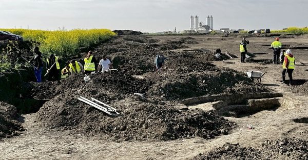 Vatră romană sub podea, la Timișoara: Arheologii au făcut descoperiri uimitoare