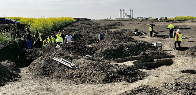 Vatră romană sub podea, la Timișoara: Arheologii au făcut descoperiri uimitoare