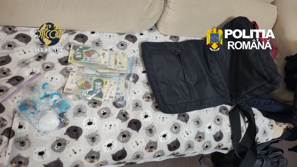 Canabis cultivat în laboratoare din București și 4 județe: Intervin mascații