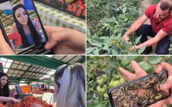 Fructe și legume la INSTAGRAM: Cum vând comercianții mai mult prin clipuri