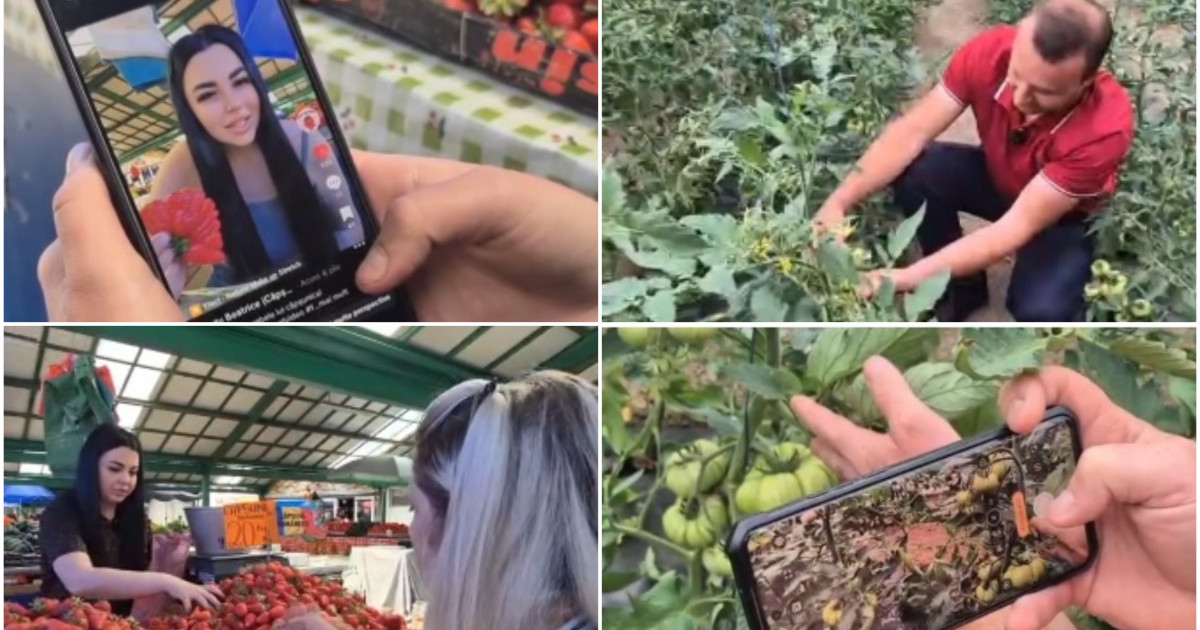 Fructe și legume la INSTAGRAM: Cum vând comercianții mai mult prin clipuri