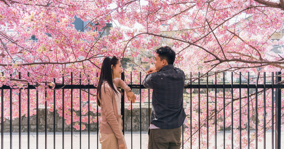 Japonia dă bani singuraticilor: Subvenții pentru aplicații de dating