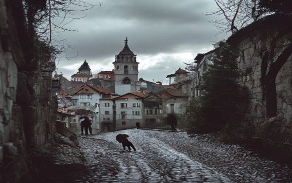 Brașov: Alertă urși! 120+ semnalări în mai. Două exemplare, ucise