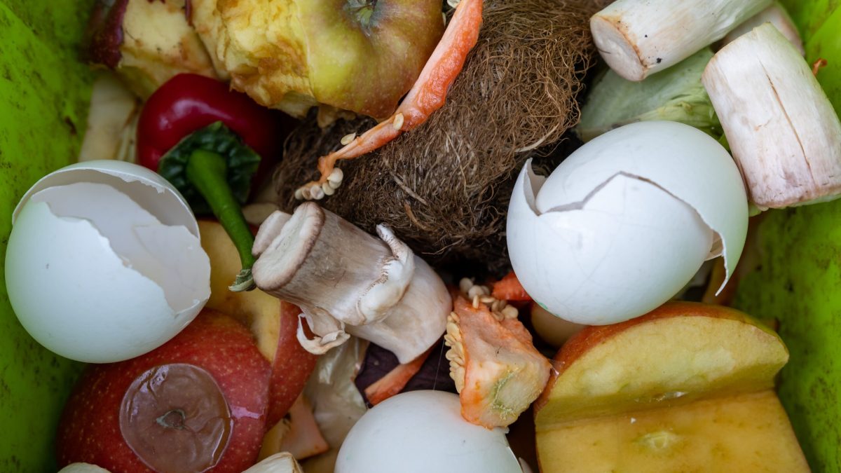 Resturile alimentare: Cum le transformi în îngrășământ natural pentru grădină