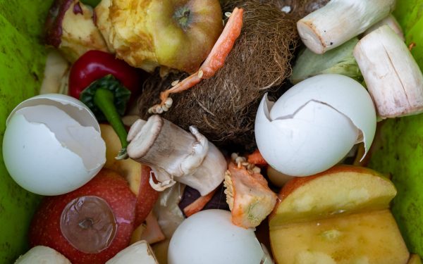 Resturile alimentare: Cum le transformi în îngrășământ natural pentru grădină