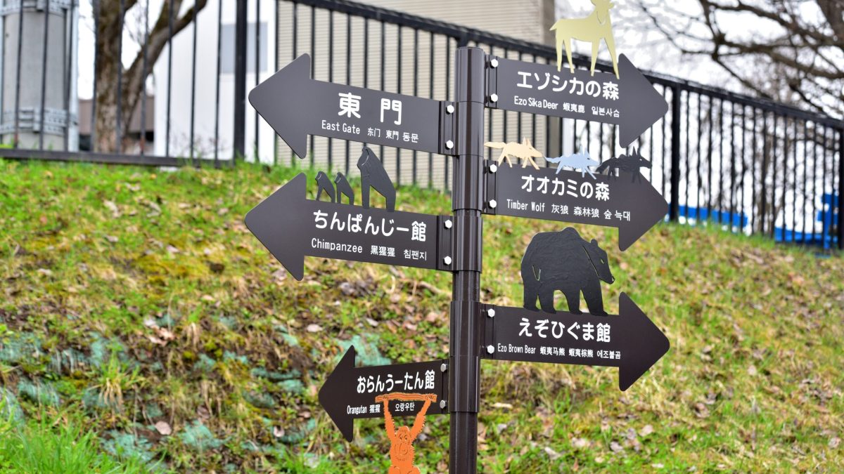Japonez și-a ucis soția, apoi a incinerat-o la grădina zoologică