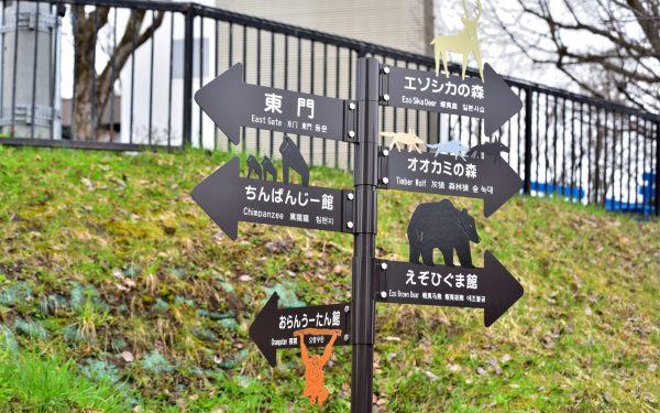 Japonez și-a ucis soția, apoi a incinerat-o la grădina zoologică