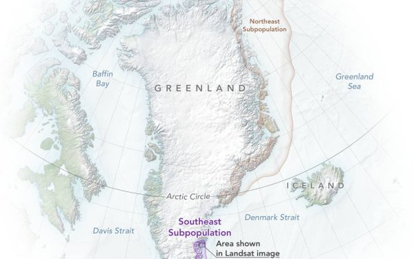 Emisarul lui Donald Trump, în Groenlanda: Misiune de promovare a Arcticului