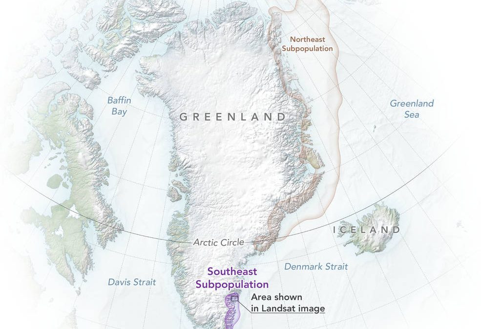 Emisarul lui Donald Trump, în Groenlanda: Misiune de promovare a Arcticului