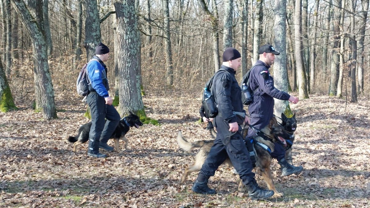 Dronă descoperită în Maramureș: Zona, securizată după găsire