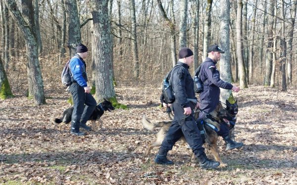 Dronă descoperită în Maramureș: Zona, securizată după găsire