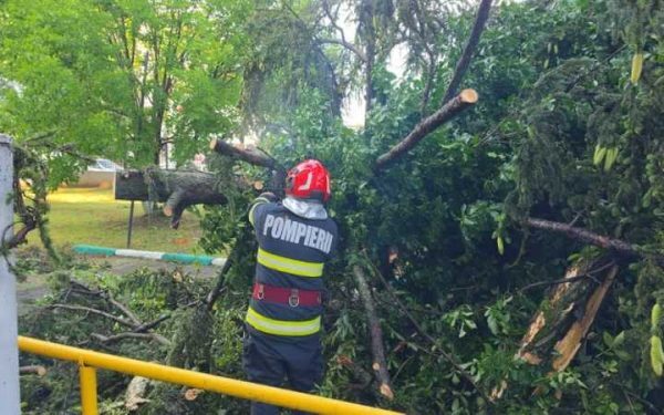 Furtună devastatoare: copaci doborâți și mașini distruse în 9 localități (FOTO/VIDEO)