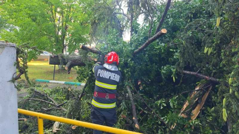 Furtună devastatoare: copaci doborâți și mașini distruse în 9 localități (FOTO/VIDEO)