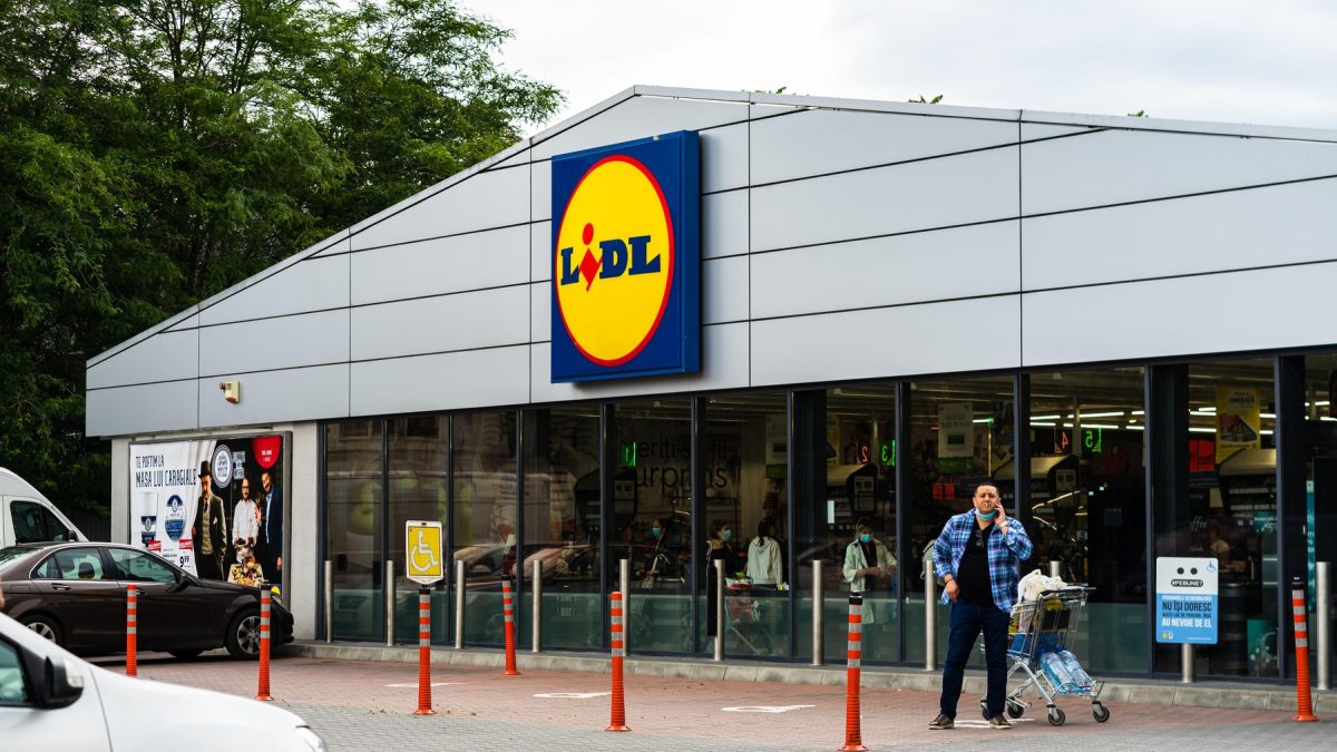 Lidl retrage hrană pentru pisici: Ce ascundea în ea