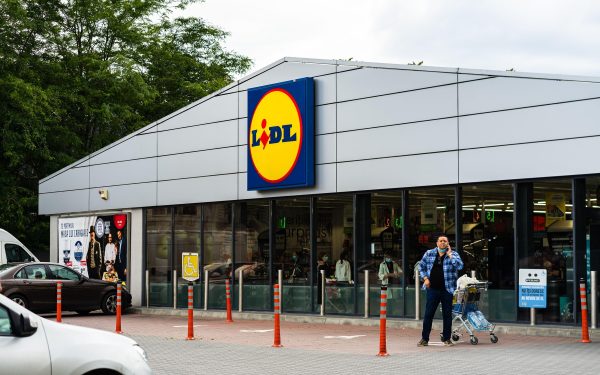 Lidl retrage hrană pentru pisici: Ce ascundea în ea