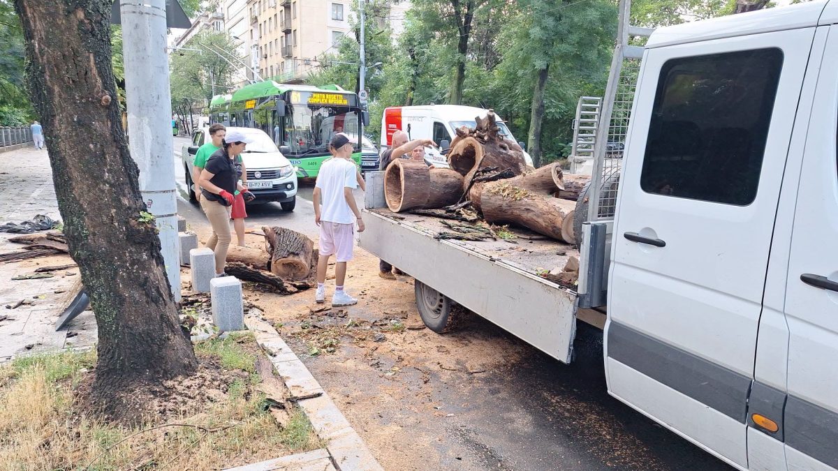 București distrus de furtună: Peste 400 de copaci doborâți, Parcul Carol sub ape