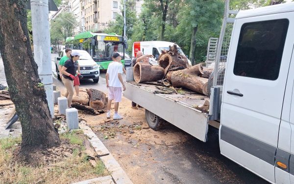 București distrus de furtună: Peste 400 de copaci doborâți, Parcul Carol sub ape