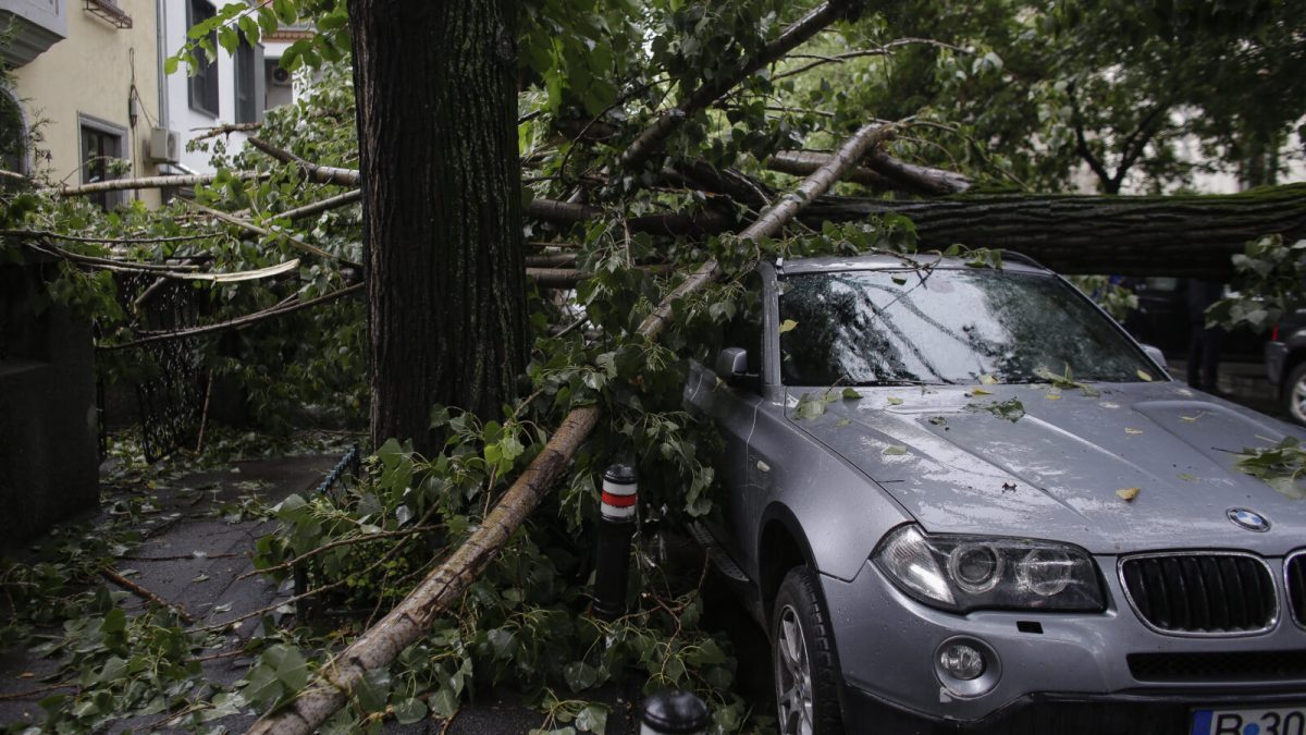 Peste 200 de daune la Omniasig după furtuni. București și Ilfov, cel mai lovite