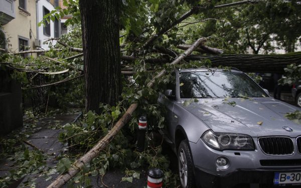 Peste 200 de daune la Omniasig după furtuni. București și Ilfov, cel mai lovite