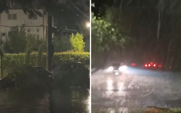 Craiova sub ape: Vijelie distruge mașini, copaci la pământ