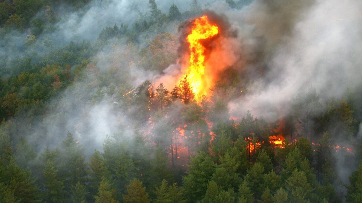 Fontainebleau Ard: Paris amenințat de flăcări, bombardiere la lucru