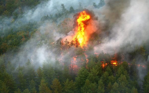 Fontainebleau Ard: Paris amenințat de flăcări, bombardiere la lucru