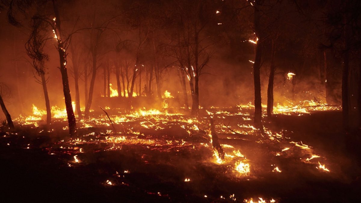 Incendii Spania: Străini și 4 britanici arși-n mașină