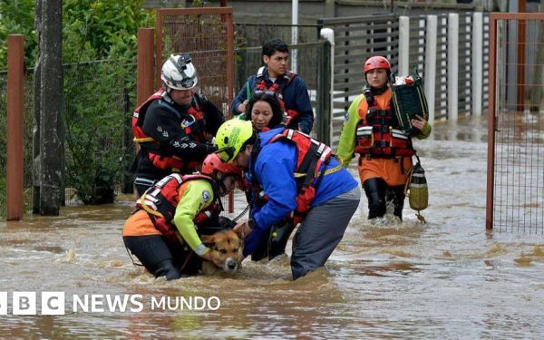Super El Nino, dezastru iminent în America Latină